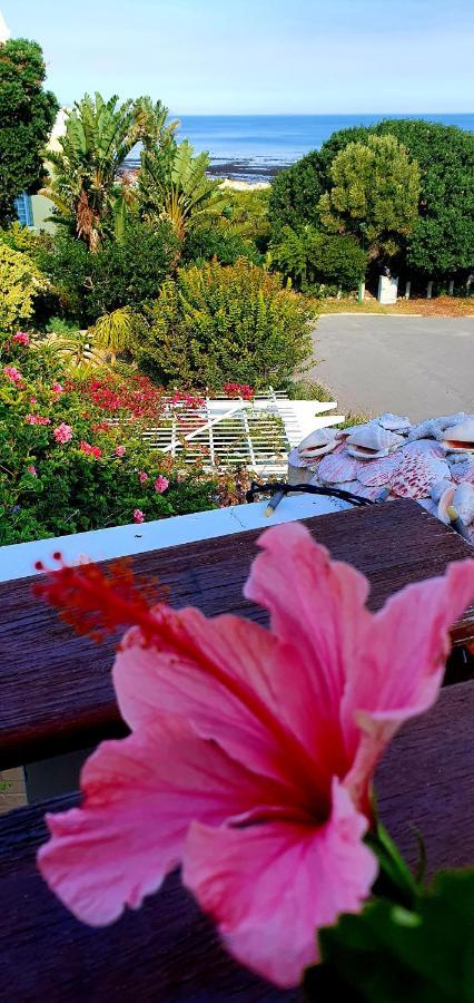 Belle Vue Guesthouse 허머너스 외부 사진