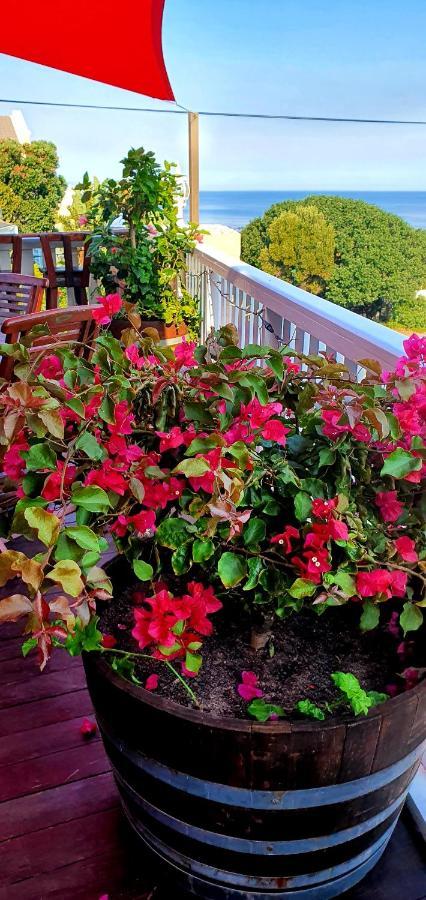 Belle Vue Guesthouse 허머너스 외부 사진