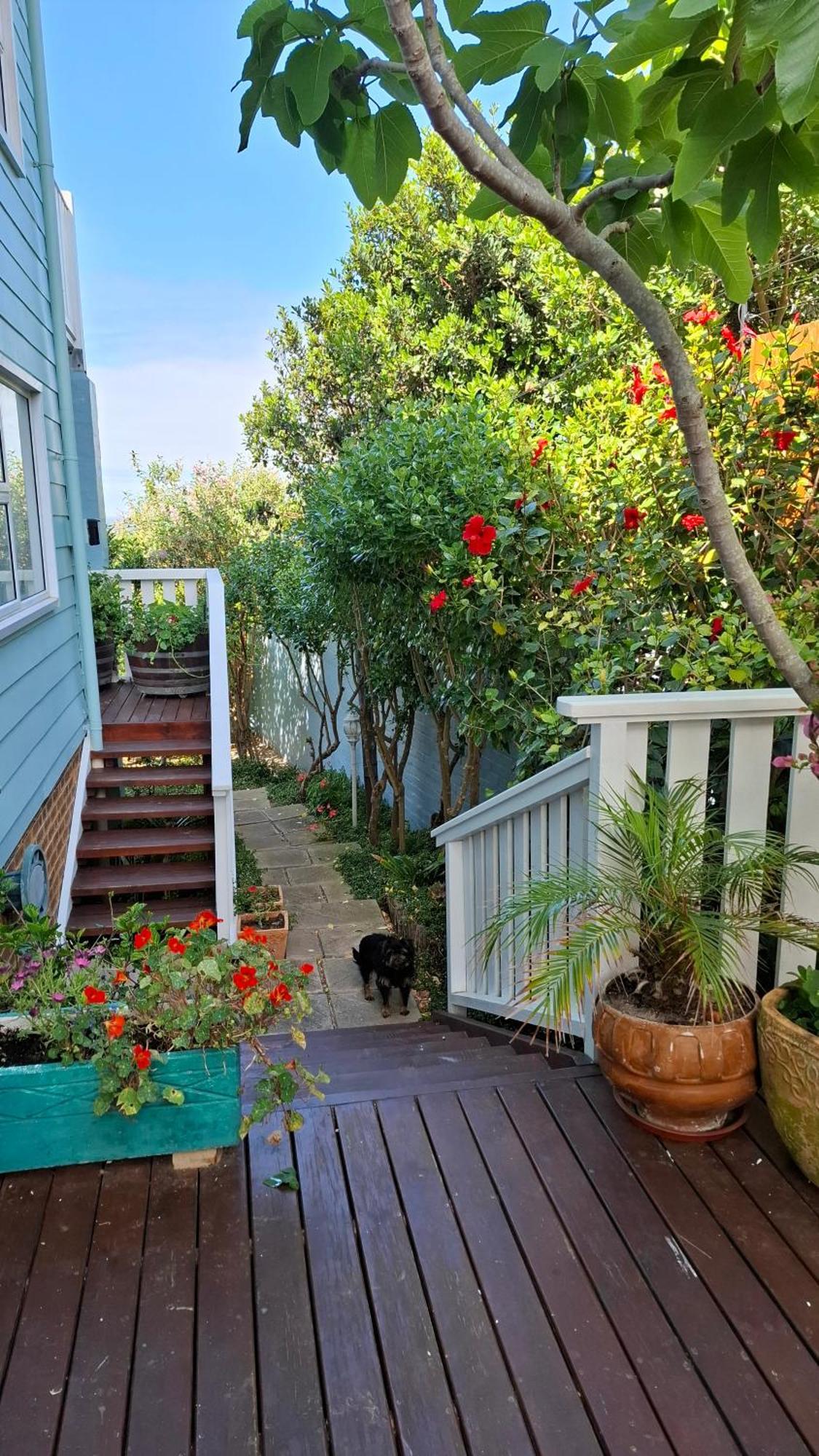 Belle Vue Guesthouse 허머너스 외부 사진
