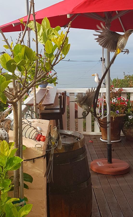Belle Vue Guesthouse 허머너스 외부 사진